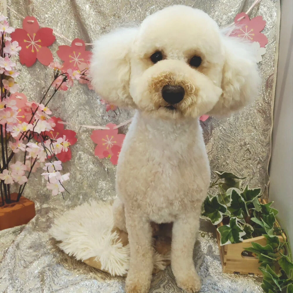 ブログ
