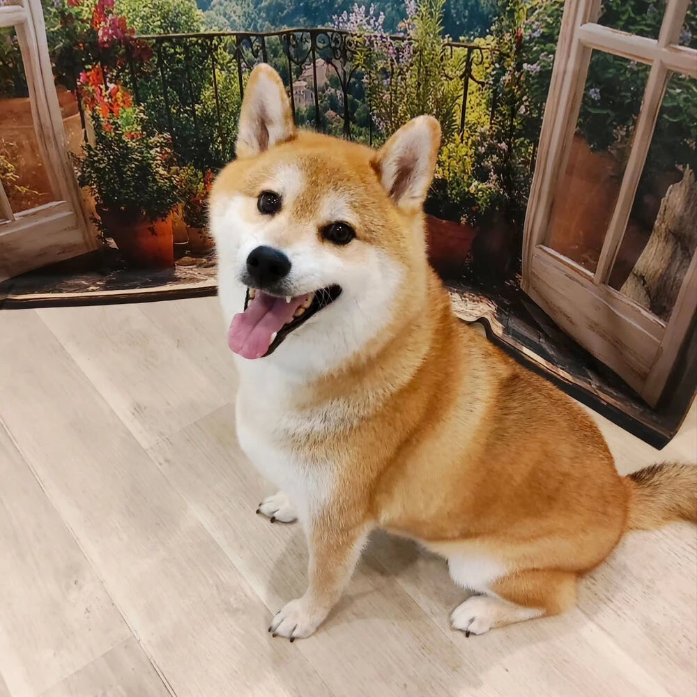 ブログ