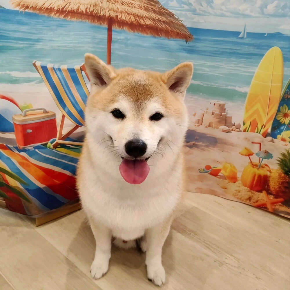 ブログ