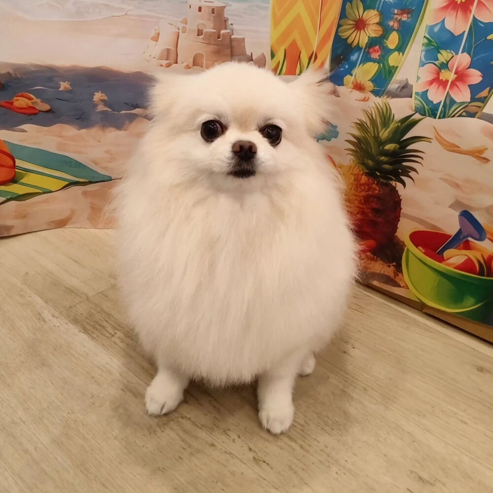 ブログ