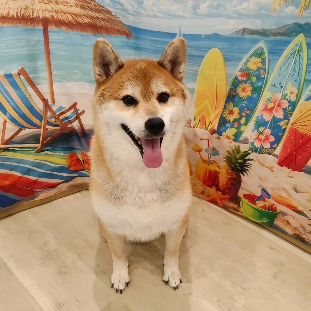 ブログ