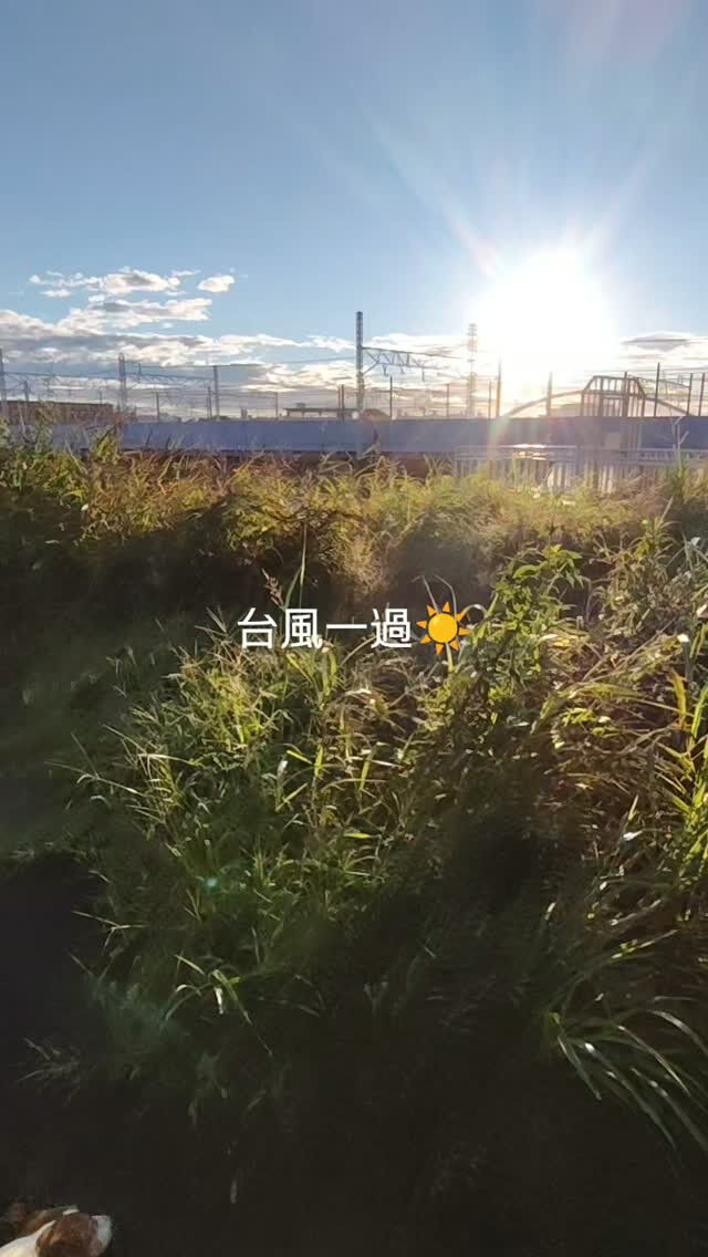 画像4048